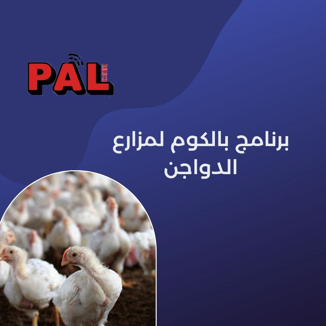 برنامج بالكوم  لمزراع الدواجن 